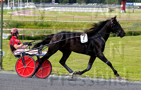 Sandsjöns Enzo heat 1.t5f25f639.m600.w.4salnwmark2.png.xHQDvnu5y.jpg