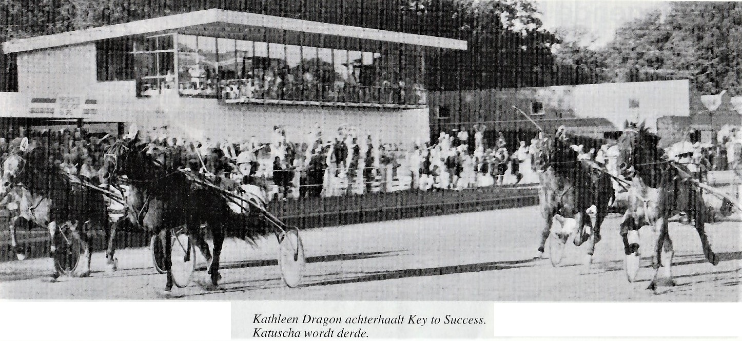 7 Sept. GP der vaderpaarden II 3.jpg