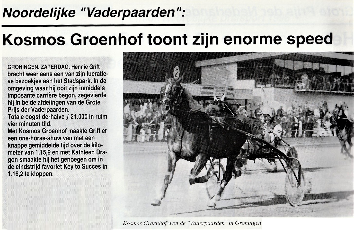 7 Sept. GP der vaderpaarden I 3.jpg