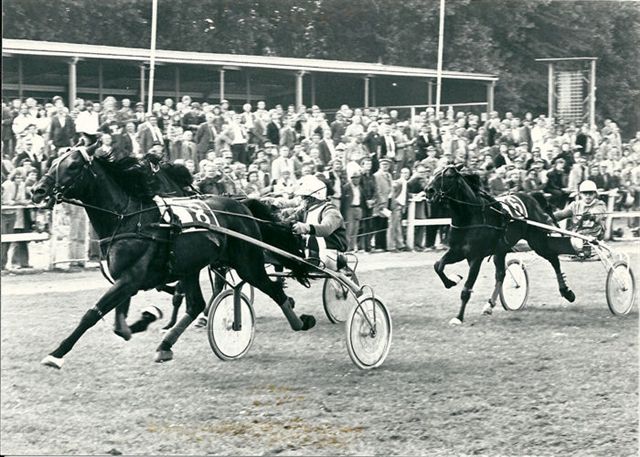 Fier Volo 1-6-78.jpg