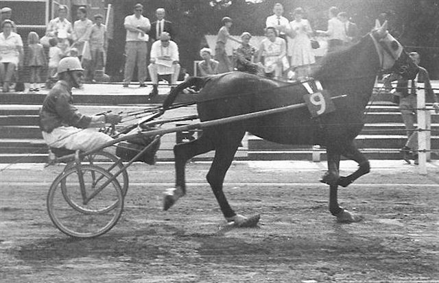 Hakoma Gerda in 1970.jpg