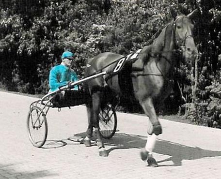 Buermann B 01.jpg