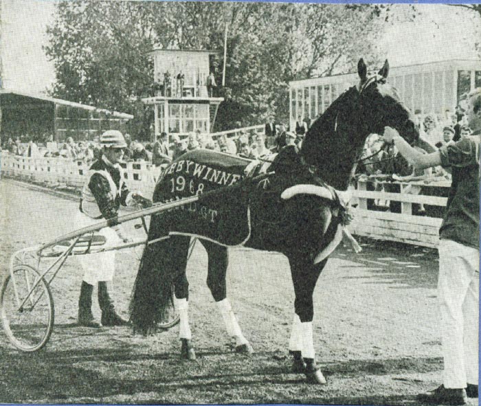 Mereveld Gallant Way.jpg