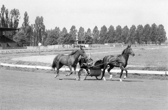 Mereveld training.jpg