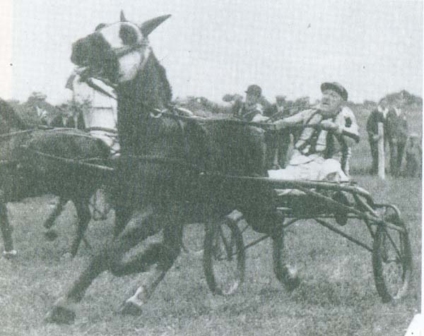 Noordwolde M Siderius 1.jpg