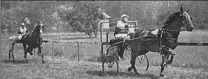 Woestduin draf-1910.jpg