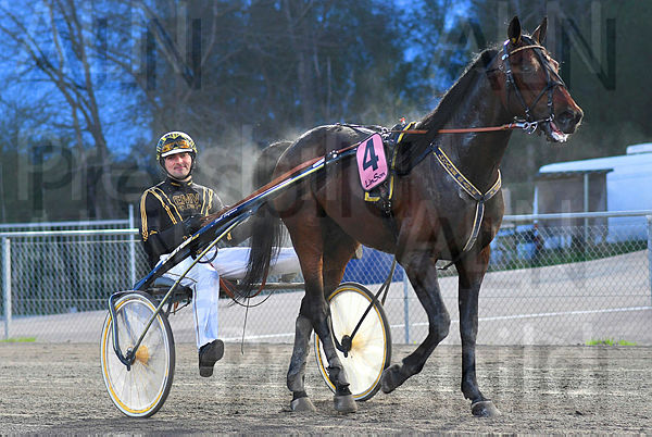 Mister K.O.Z. def  DSC_3533.t60a3d143.m600.w.4salnwmark2.png.xMI1RIIKe.jpg
