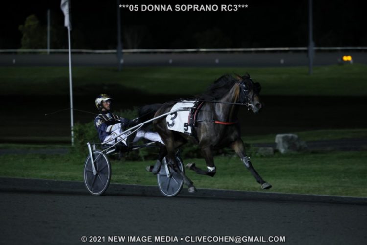 Donna-Soprano-750x500.jpg