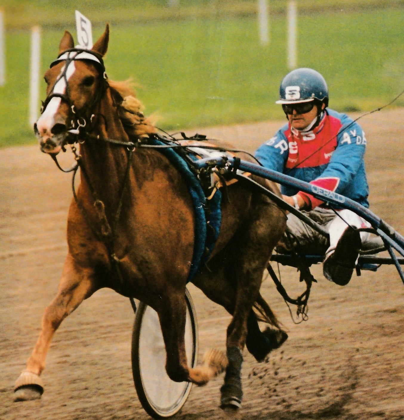 22 Sept Joffer pr 4  Long Island.jpg