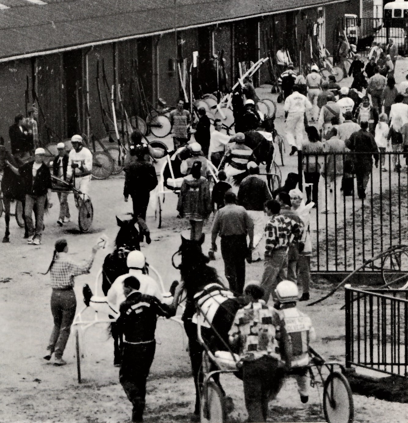 27 Sept 1 Stal terrein Lindetrek.jpg