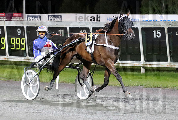 B.Sacamano 3.t6139cb0d.m600.w.4salnwmark2.png.xPV-wrr_k.jpg