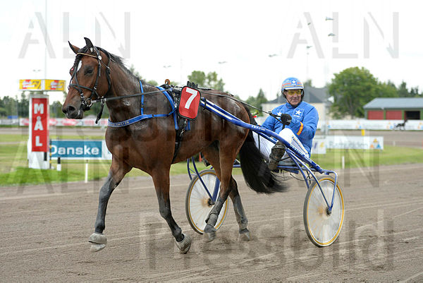Stjärnblomster def2.t599c6349.m600.w.4salnwmark2.png.xjt_LAiW2.jpg