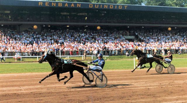 Clan Vryenesse Derby 2.jpg