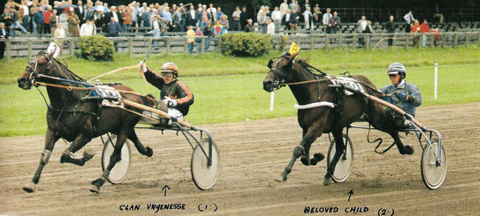 Clan Vryenesse Kamp 5-jar.jpg