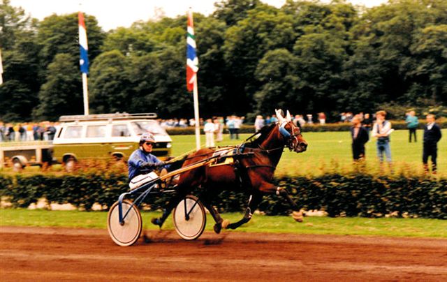 Clan Vryenesse SwSt C.jpg