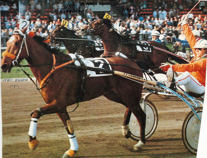 Veric Brach Gold Cup 85.jpg