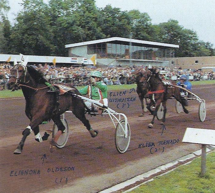 Elionora Oldeson Swst.jpg