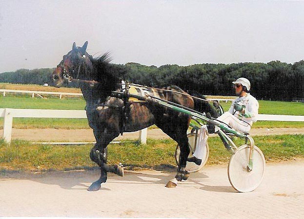 Leen van Camstra 01.jpg