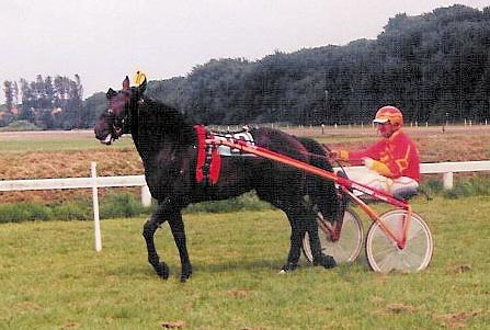 Leen van Camstra met Ao.jpg