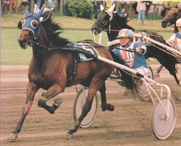 Gipsy Westland Derby (1).jpg