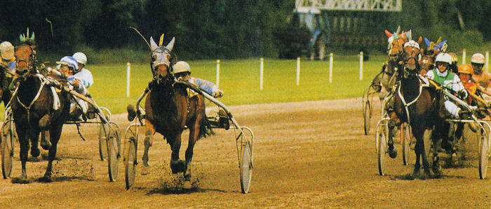 Gipsy Westland Derbyproef.jpg