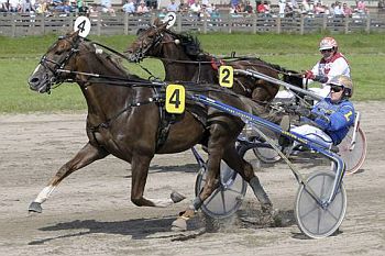 Coktail Fortuna Derby-select.jpg