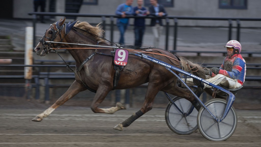 Coktail Fortuna No 2016.jpg