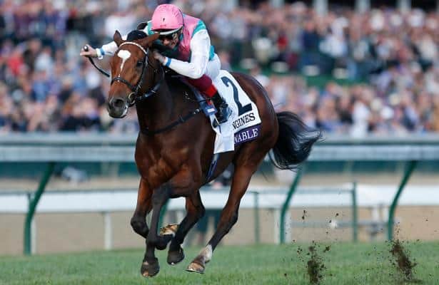 Enable_horse_2019_615x400_orig.jpg
