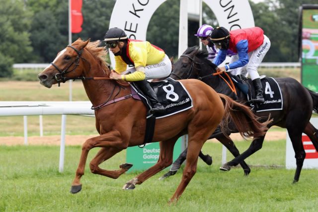 Torquator-Tasso-CREDIT-turf-times-1.jpg