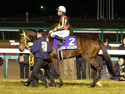 250px-Buena-Vista-horse20111225.jpg
