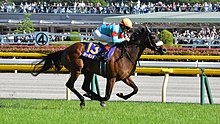 220px-Almond_Eye_Yushun_Himba_2018(IMG1).jpg