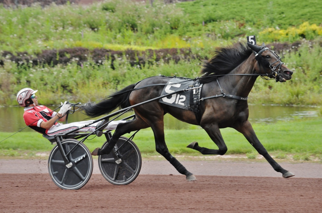 Curtis-Salonick-photo-Mon-Cheval-PCD-MON-081621.jpg