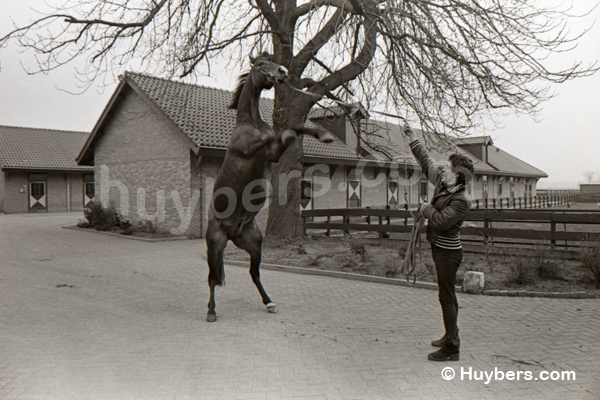 King-1980-Op-stoeterij-De-Raaphorst-.jpg