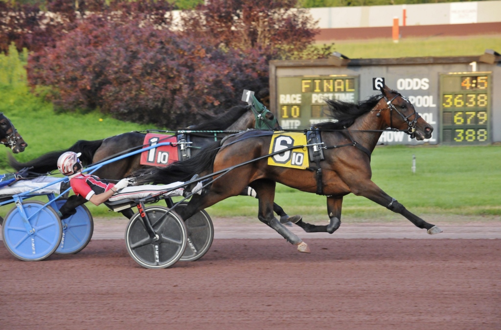 Curtis-Salonick-photo-Bella-Bellini-PCD-SUN-060621.jpg