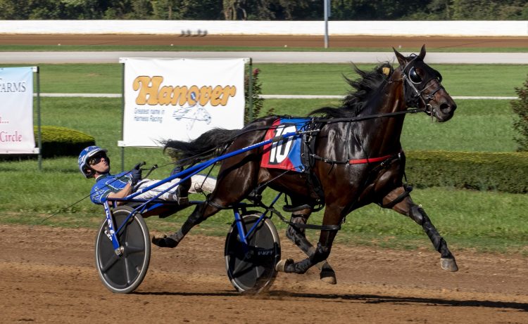 allywag-hanover-1-750x461.jpg