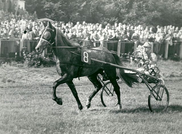Tabor Derby ere.jpg