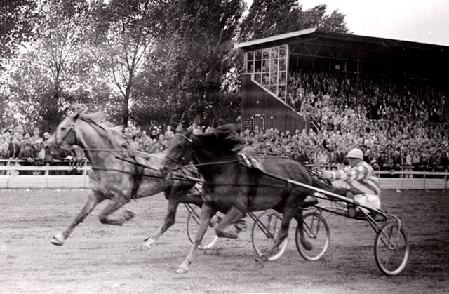 Tabor Gr Fokkersprijs 57.jpg