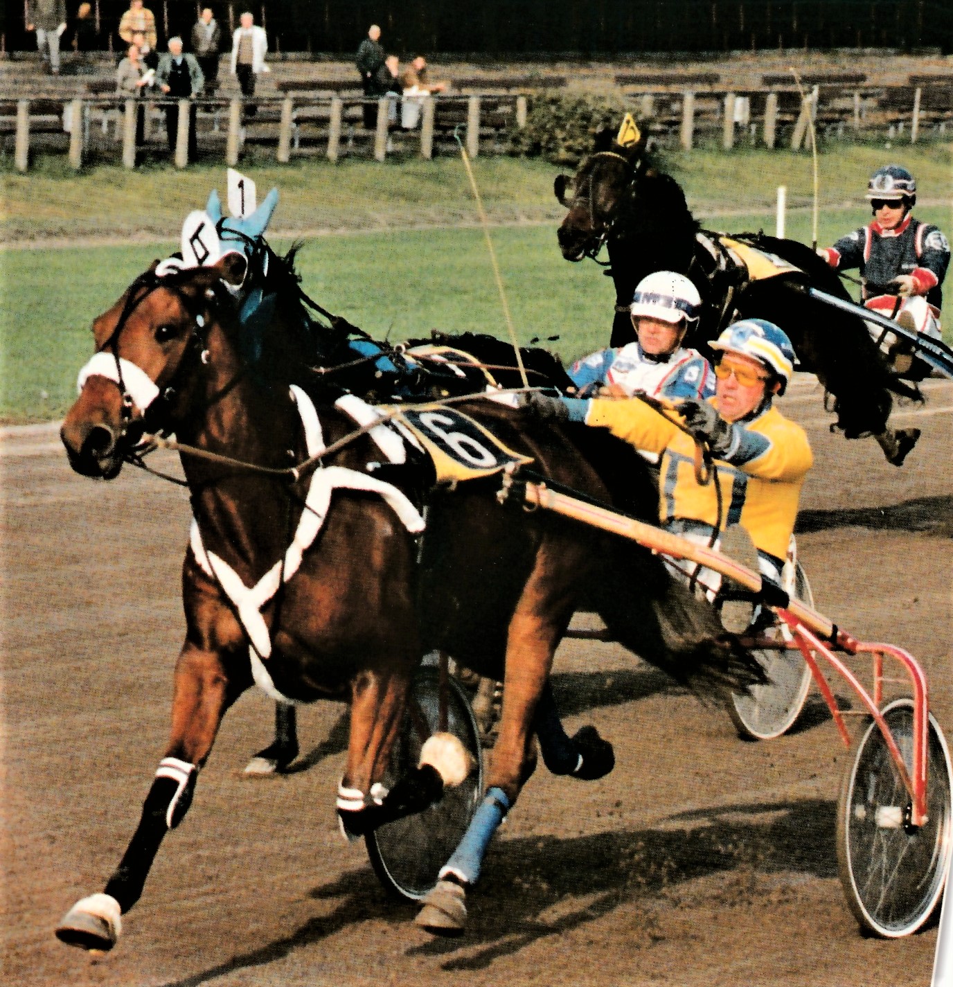 13 Okt 4 jarige stakes 4.jpg