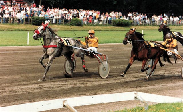 Goofy Boshoeve Toekomst-prijs 91.jpg