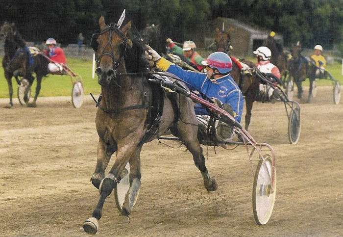 Naction Skoatter 4jar Kamp.jpg