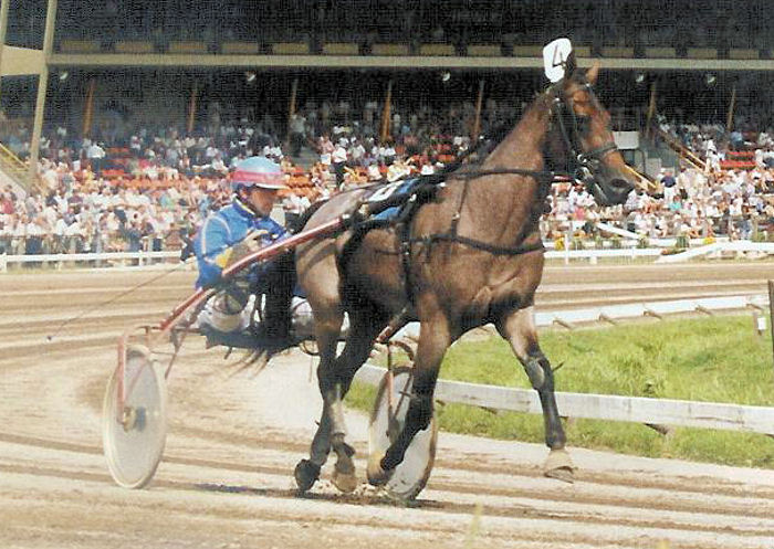 Naction Skoatter start.jpg