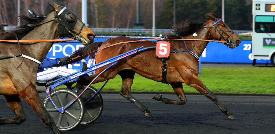 C5_Vincennes_02_Aprh_opt.jpg
