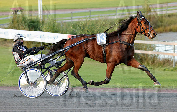 First Tartar heat 1.t613f770c.m600.w.4salnwmark2.png.xLgierXak.jpg
