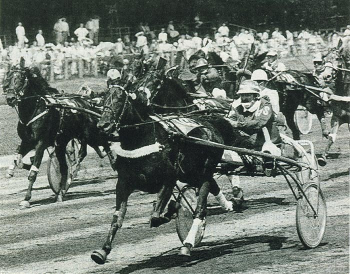 Bea di Tricia wint Derby.jpg