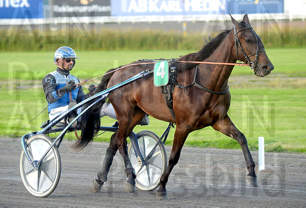 Isabelle Cash heat.t612f46a0.m600.w.4salnwmark2.png.xbuAn6v_k.jpg