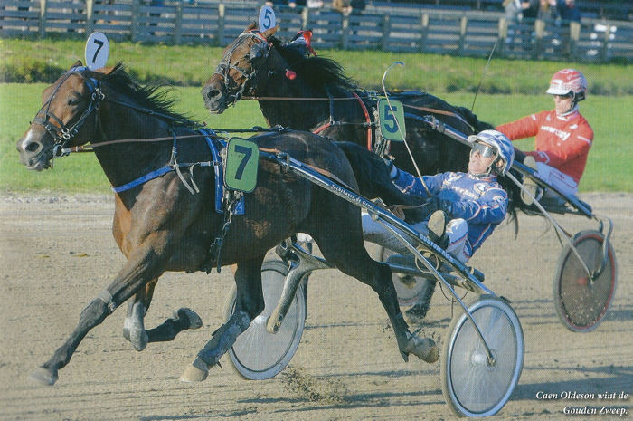 Caen Oldeson GZ 2015 b.jpg