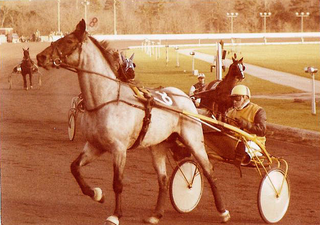 Scotch Oostwyck 01.jpg