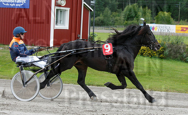 Stensvik Martin heat.t5211b158.m600.w.4salnwmark2.png.xROoqNO2t.jpg