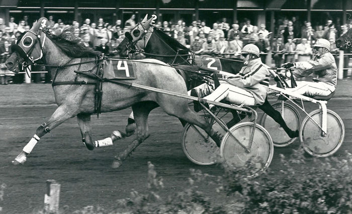 Tasja Hanover 13-7-80.jpg