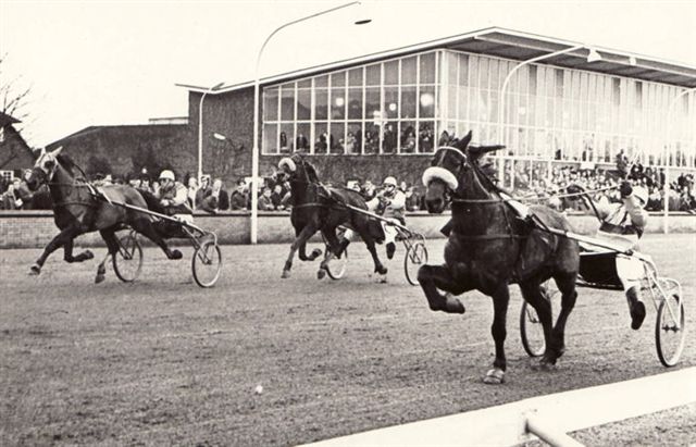 ANP Buick Magowan voor Brun Beer.jpg